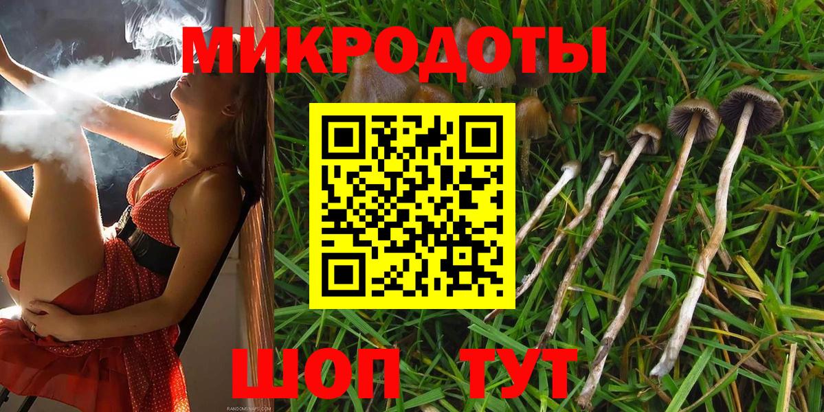Галлюциногенные грибы Psilocybe  Вход с VPN  Белгород  Галлюциногенные грибы мухоморы 