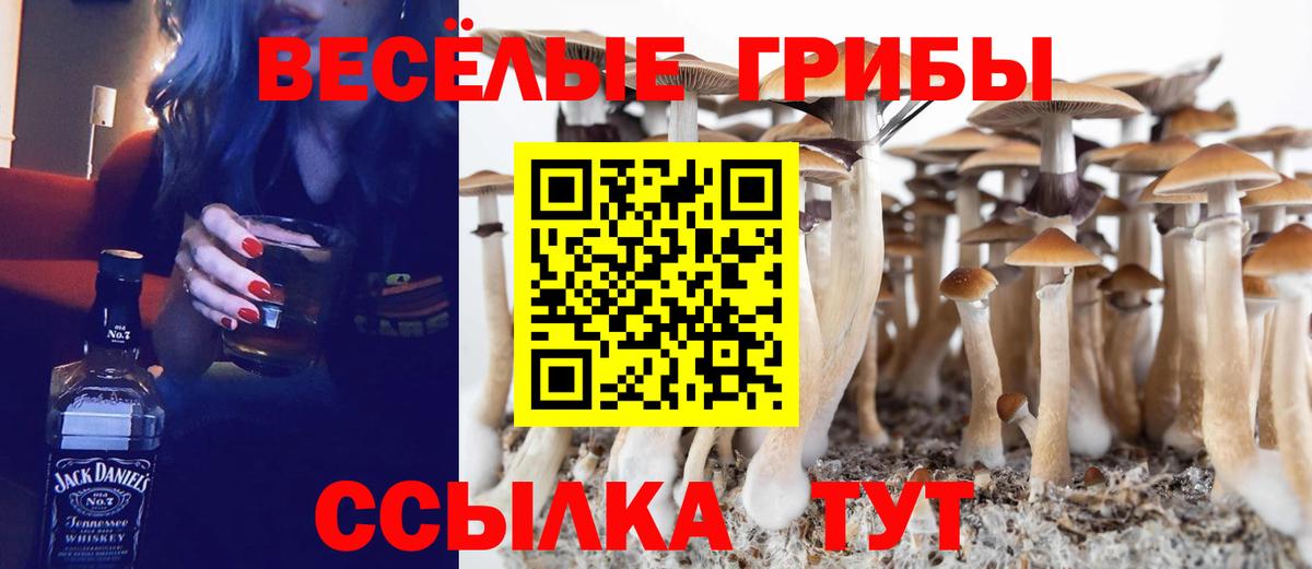 Псилоцибиновые грибы мицелий Белгород